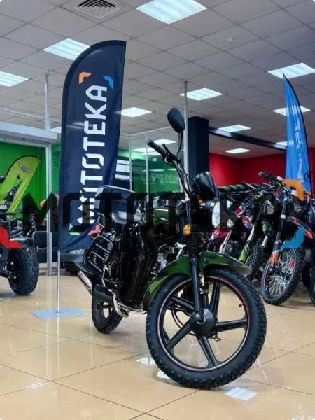 Мопед Мотомир RAID 49.9 (110) (кофр в комплекте. дуги с карманами) камуфляж | Мототека