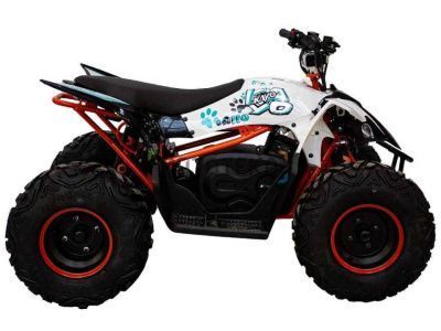 Электроквадроцикл KAYO (Кайо) eA110 (2024 г.)