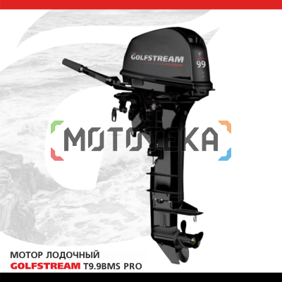 Лодочный мотор Golfstream (Гольфстрим) T9.9BMS PRO