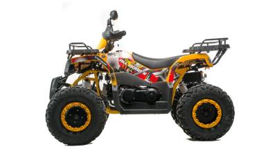 Квадроцикл MotoLand (Мотолэнд) VOX200 ALL ROAD X (баланс. вал) (машинокомплект)