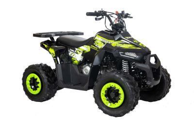 Квадроцикл детский Racer (Рейсер) RC110 Hawk чёрный/зелёный (машинокомплект)