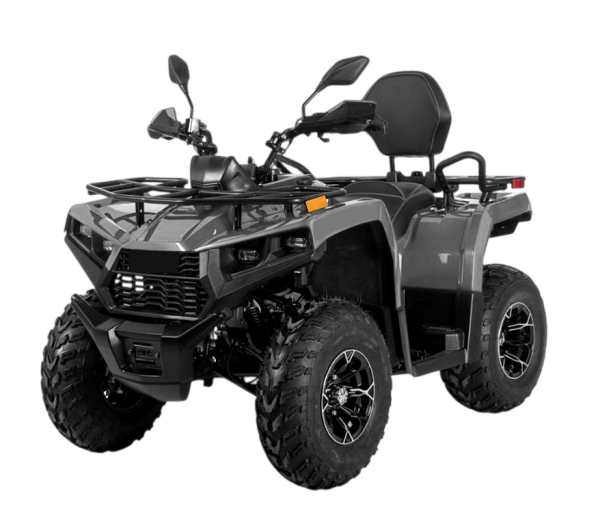 Квадрицикл Bizon (Бизон) YK250 LUX EFI серый с ПСМ - купить с доставкой, цены в интернет-магазине Мототека